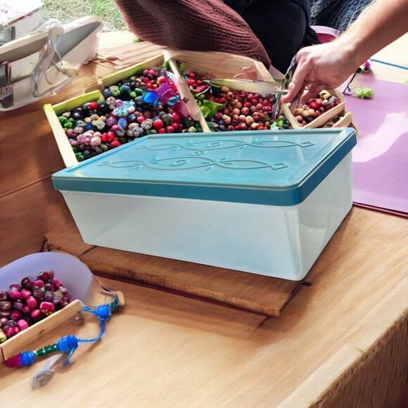 Vintage Storage Box Container-1960s Turquoise-Retro-Craft-Sewing-Shoes-Organize - Picture 5 of 6